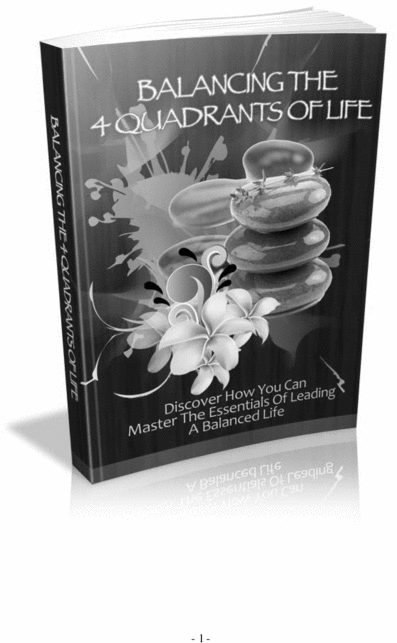 Product picture The 4 Quadrants of Life