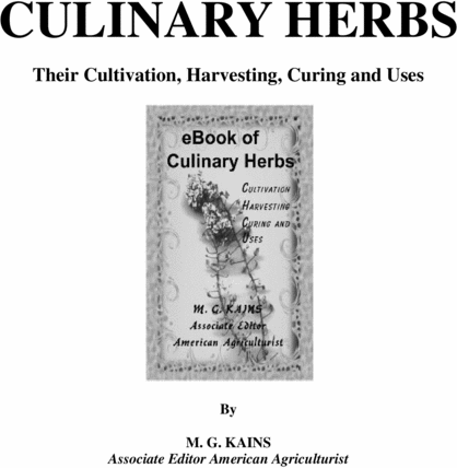 Product picture What Is Alternative Medicine?